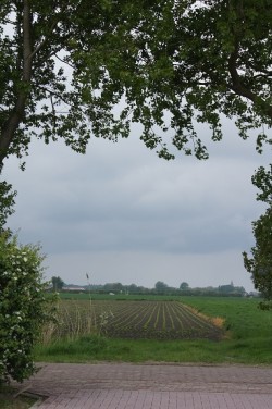 Afbeelding invoegen